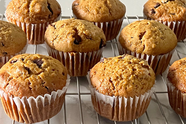 Pumpkin Chocolate Chip Muffin Recipe